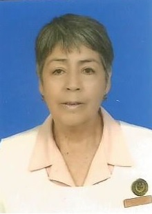 Voluntarias Damas Rosadas